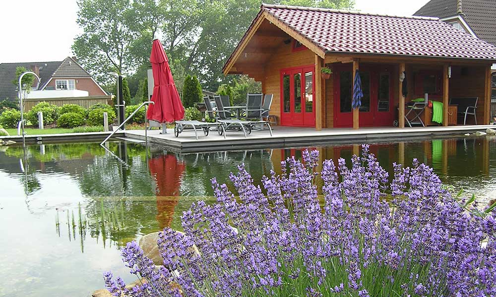 schwimmteich-a09