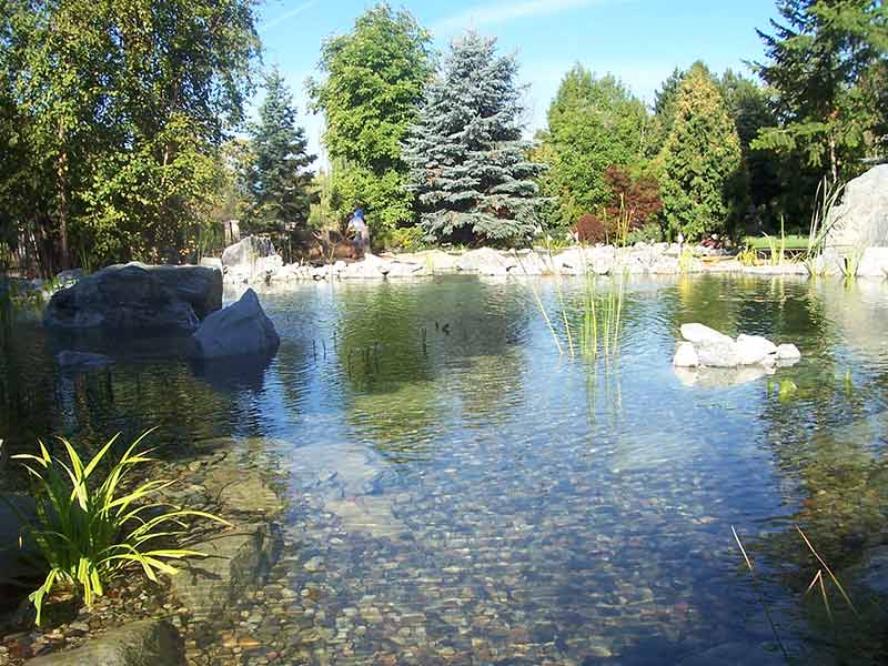 Gartenteiche und Zierbecken